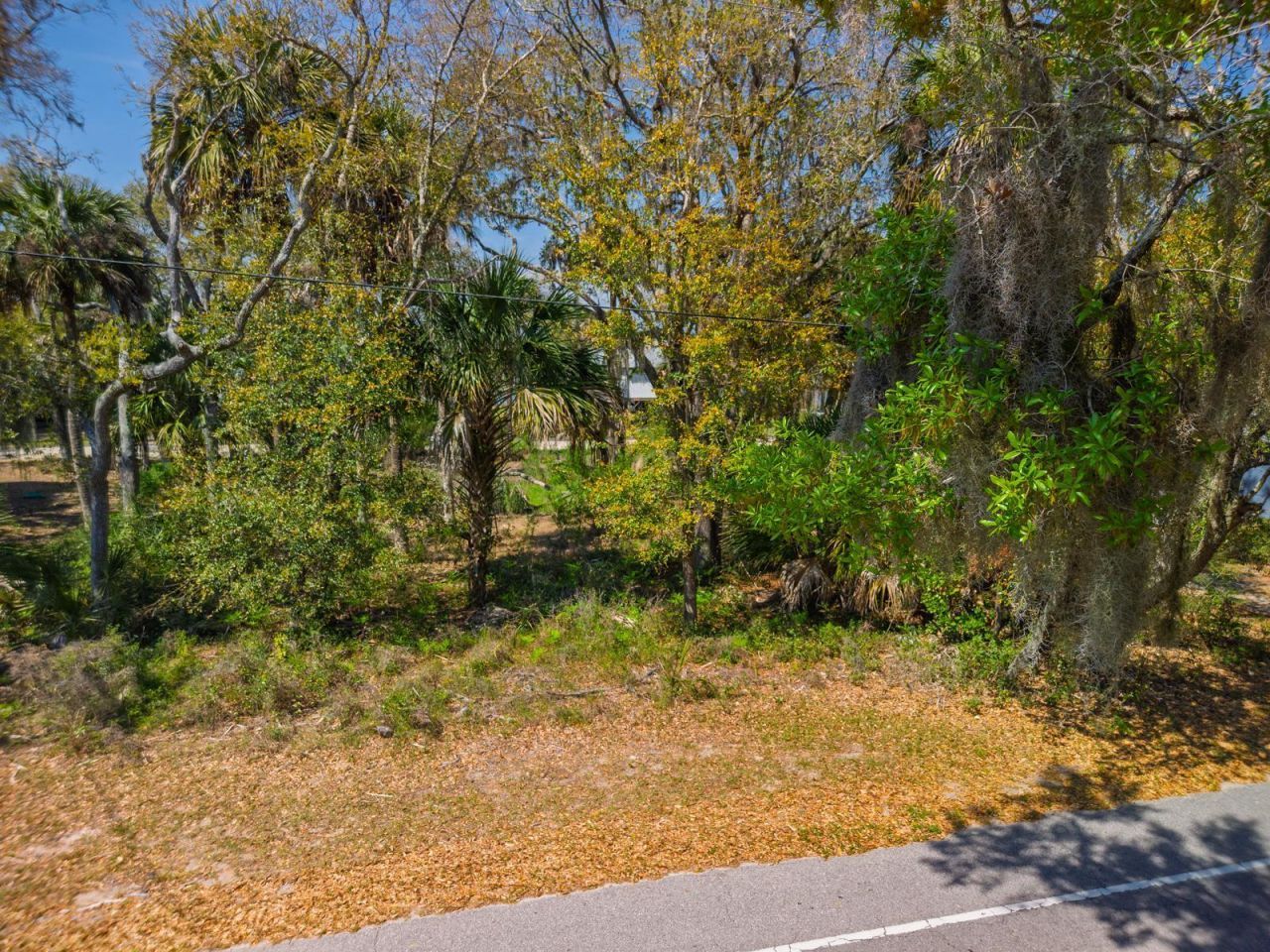 307 Jungle Road Photo 5