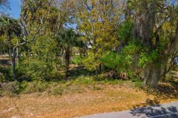 307 Jungle Road photo 4