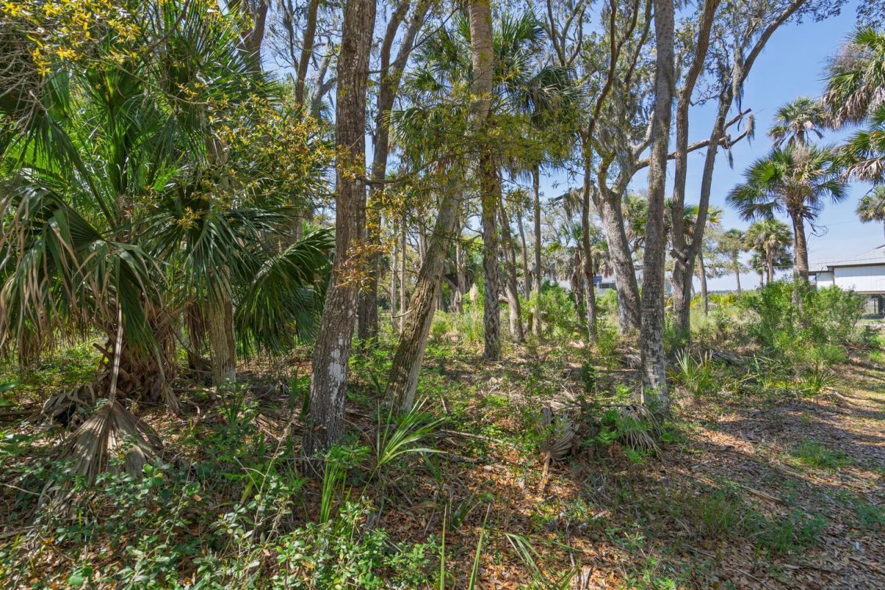 307 Jungle Road Photo 6