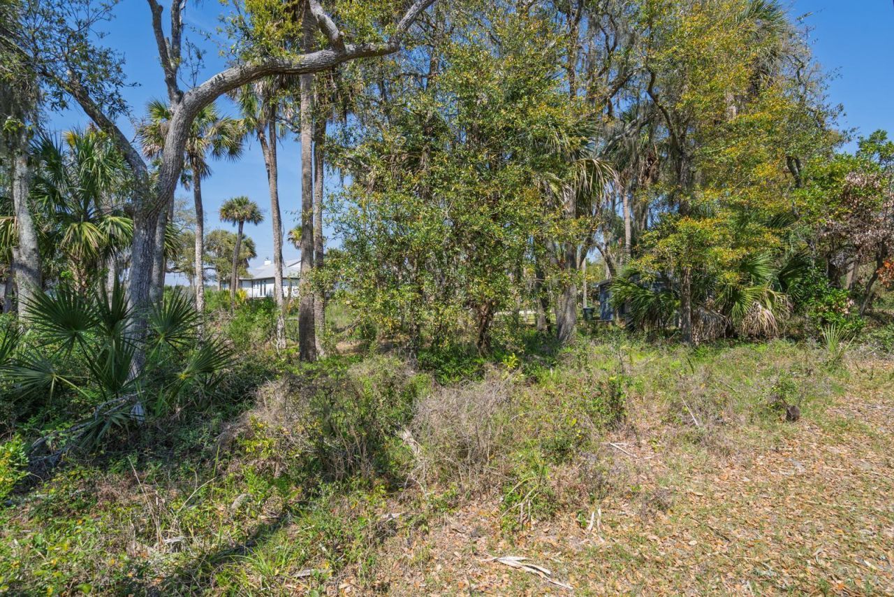 307 Jungle Road Photo 8