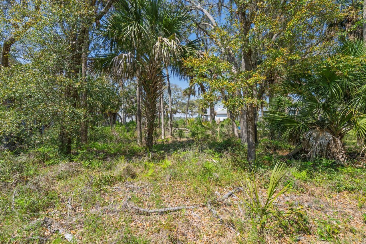 307 Jungle Road Photo 9