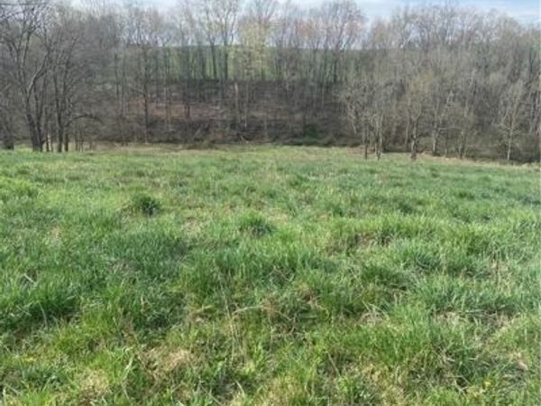 0 Judson Street, Bethesda, OH 43719