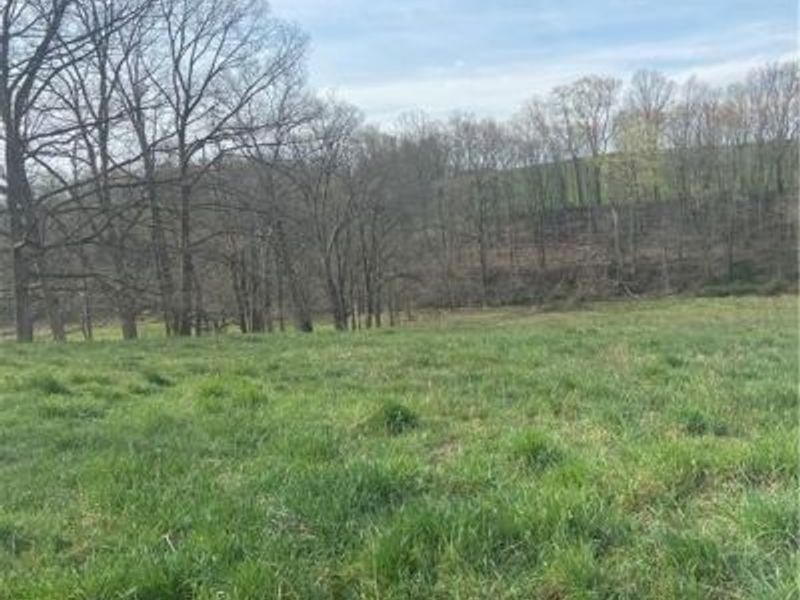 0 Judson Street, Bethesda, OH 43719 Photo 2