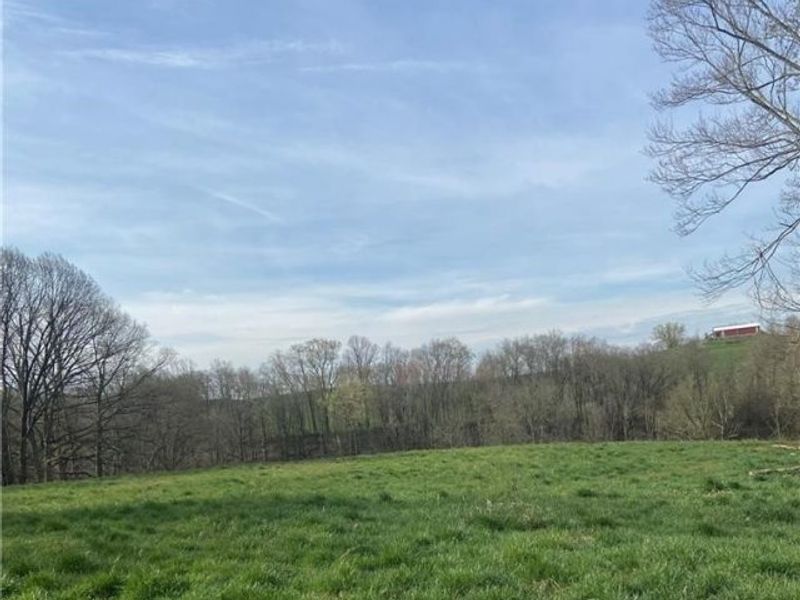 0 Judson Street, Bethesda, OH 43719 Photo 3