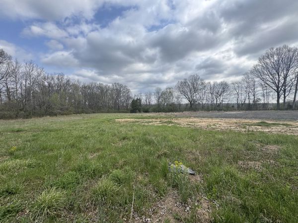 900 Old Route 146 Loop , Vienna, IL 62995