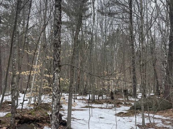 Lot 13-9 E Washington Road, Washington, NH 03280