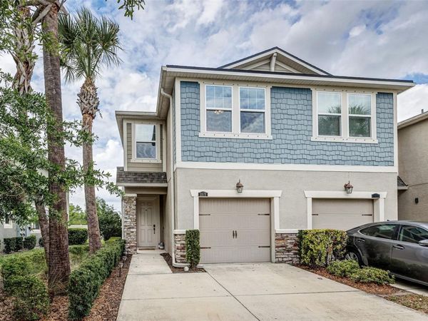 11670 CAMBIUM CROWN DRIVE , RIVERVIEW, FL 33569