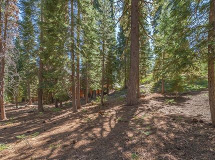 14590 Copenhagen Drive, Truckee, CA 96161 Photo