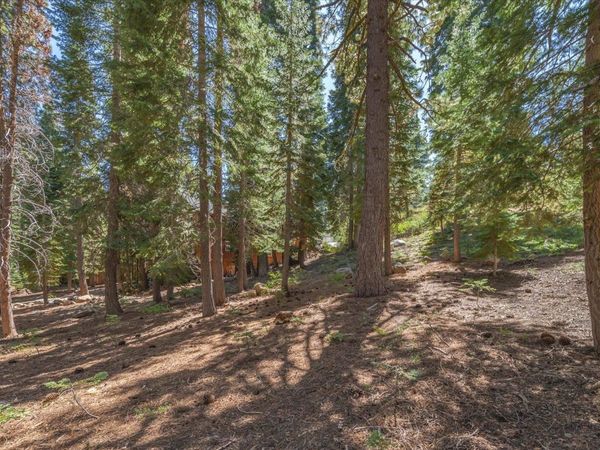 14590 Copenhagen Drive, Truckee, CA 96161