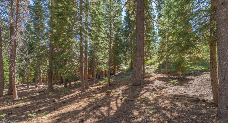 14590 Copenhagen Drive, Truckee, CA 96161 Photo