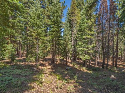 14590 Copenhagen Drive, Truckee, CA 96161 Photo