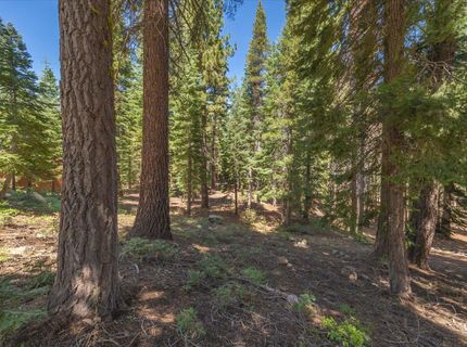 14590 Copenhagen Drive, Truckee, CA 96161 Photo