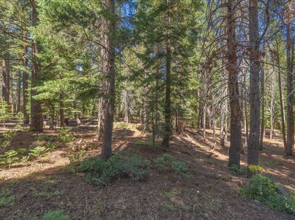 14590 Copenhagen Drive, Truckee, CA 96161 Photo