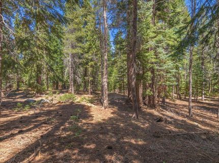 14590 Copenhagen Drive, Truckee, CA 96161 Photo