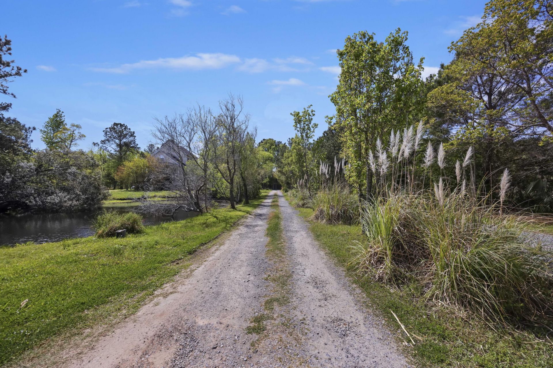 1371 River Road Photo 4