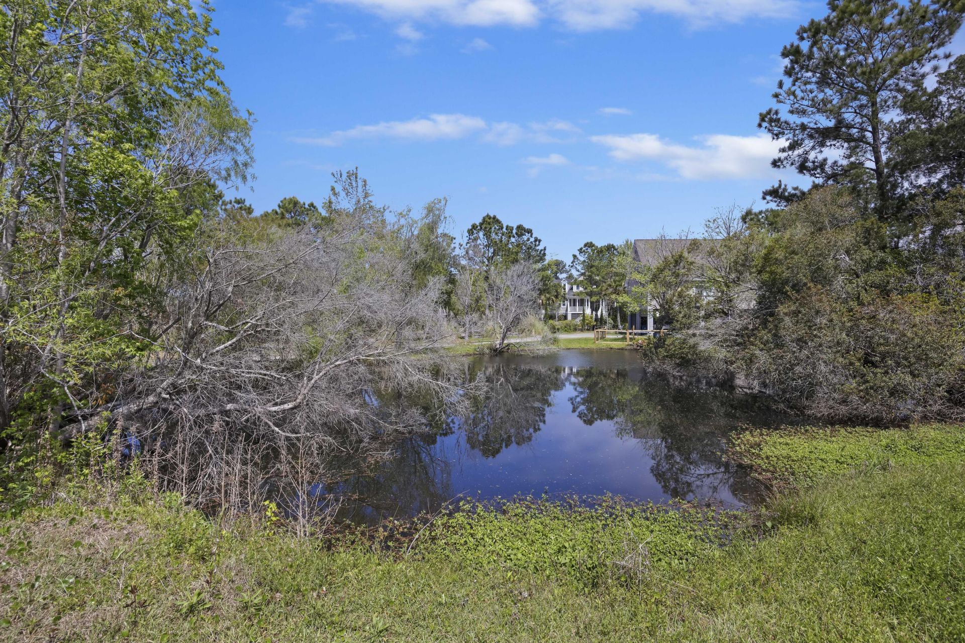 1371 River Road Photo 6