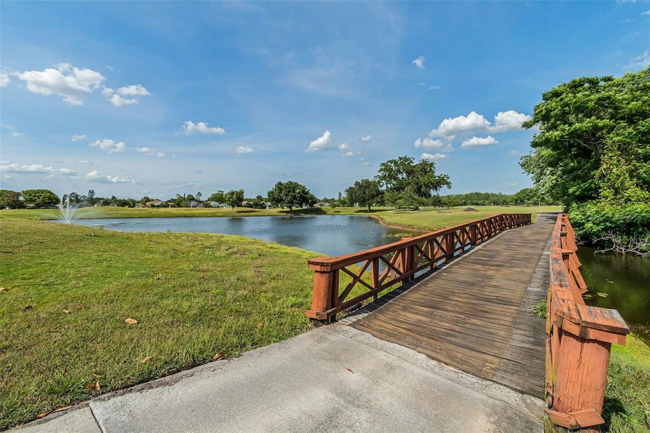 3925 Woodsfield Court, Orlando, FL 32822 Photo
