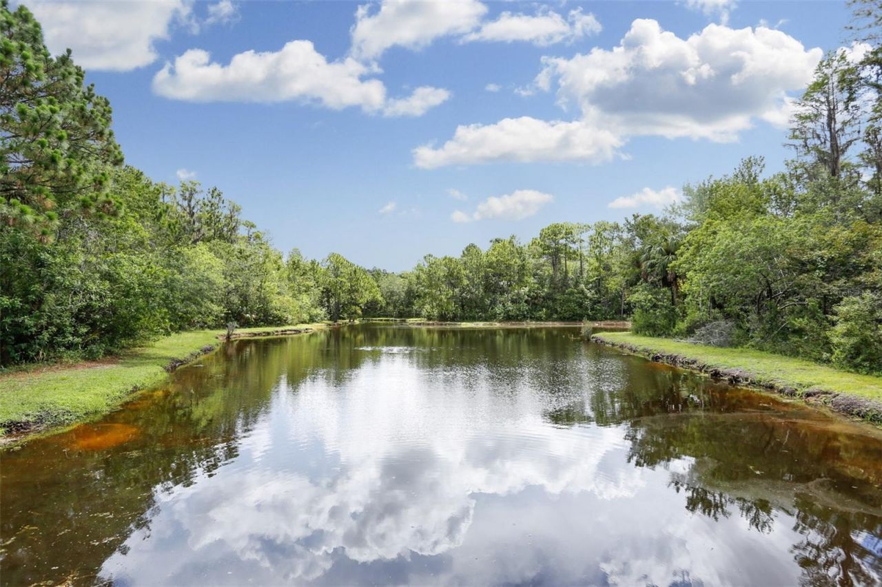 10121 Kingsbridge Avenue , Tampa, FL 33626 Photo