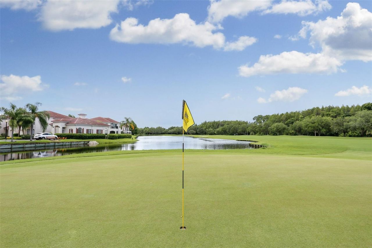 10121 Kingsbridge Avenue , Tampa, FL 33626 Photo