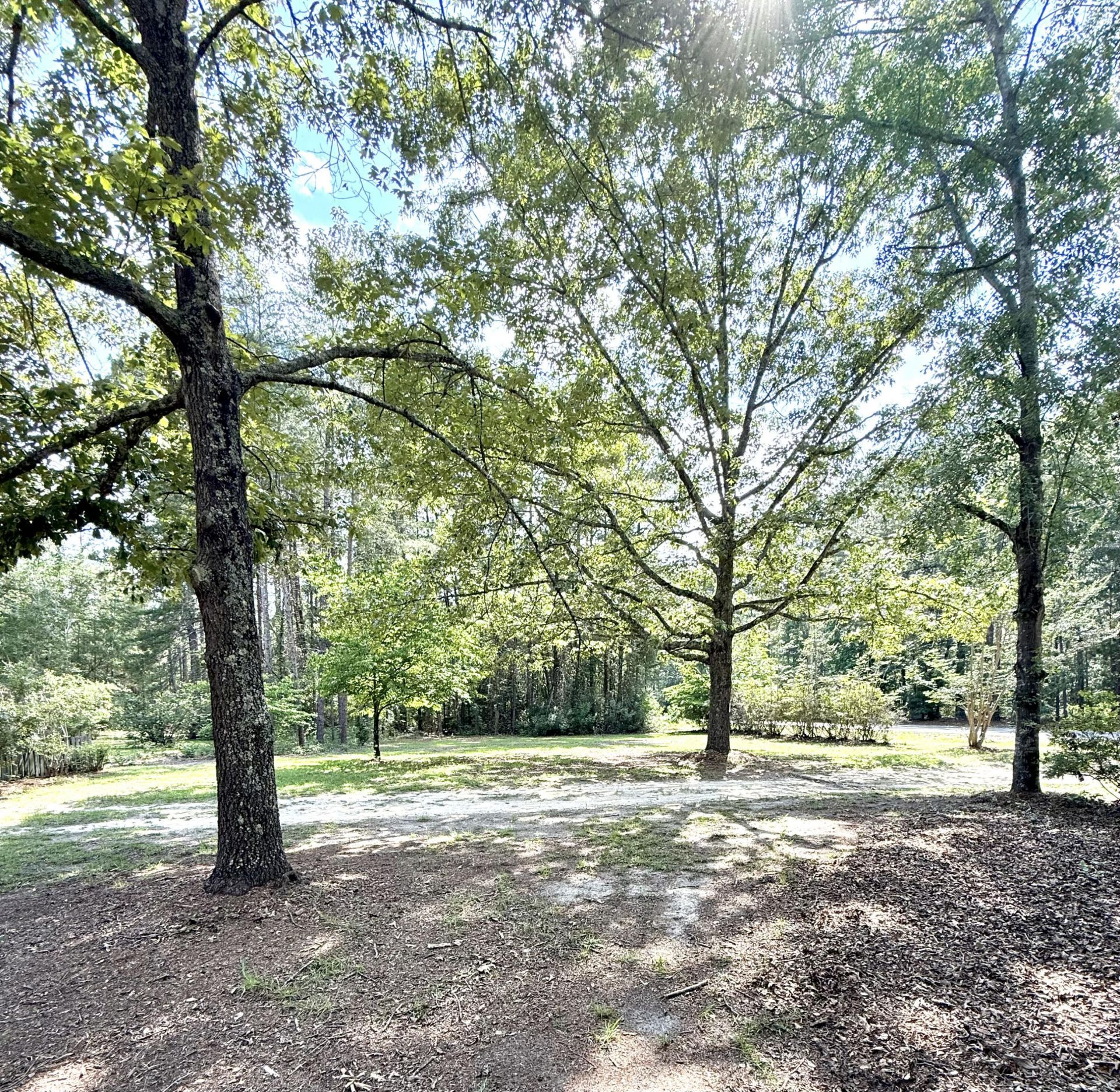 6986 Salley Road Photo 20