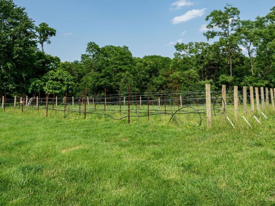 Property Image 75