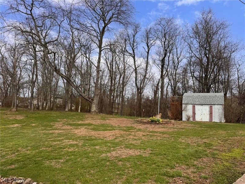 188 Williams Boulevard, Wintersville, OH 43953 Photo 8