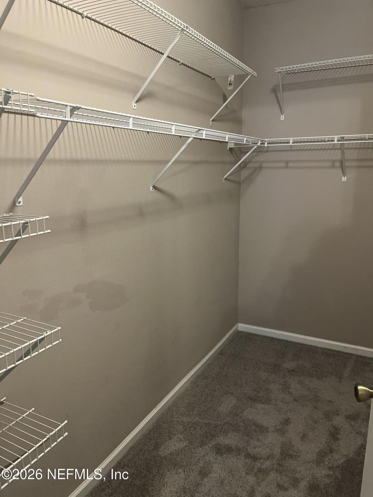 575 Oakleaf Plantation Parkway, Unit 901, Orange Park, FL 32065 Photo