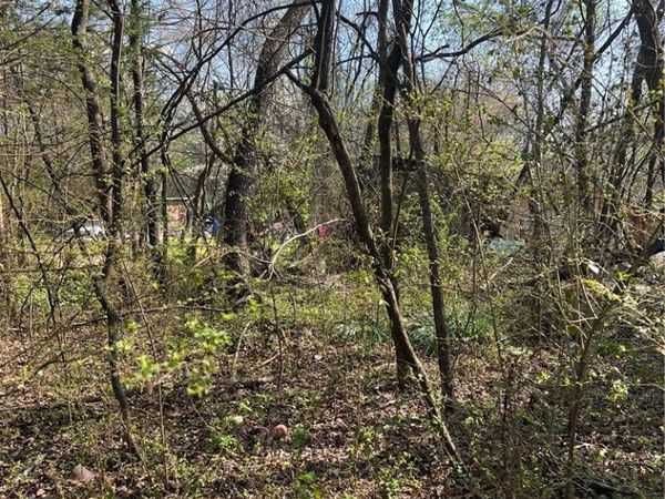 TBD Emanuel Street, Yellville, AR 72687