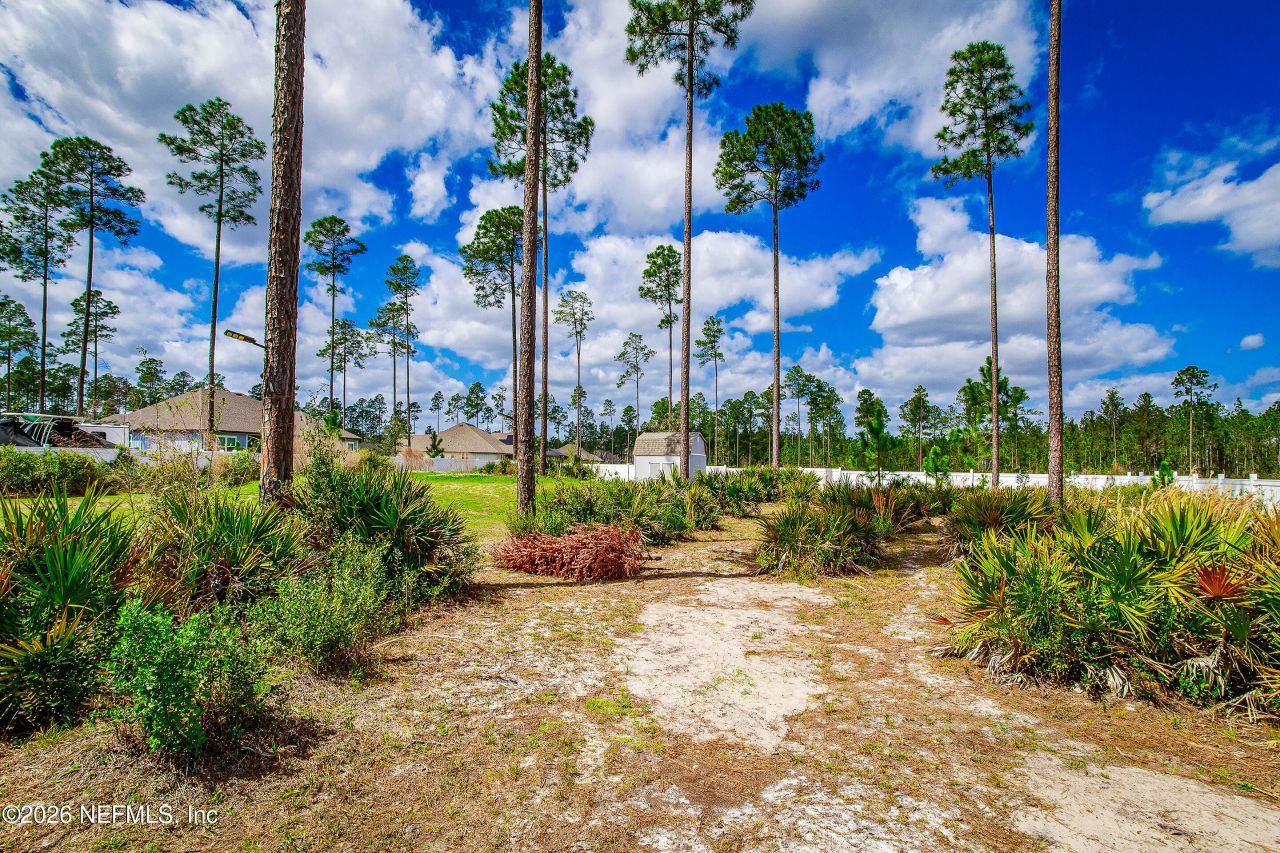 36453 Shortleaf Avenue, Hilliard, FL 32046 Photo