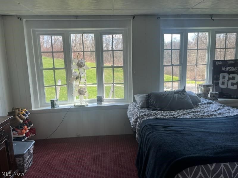 243 Rinker Road, Steubenville, OH 43952 Photo 9