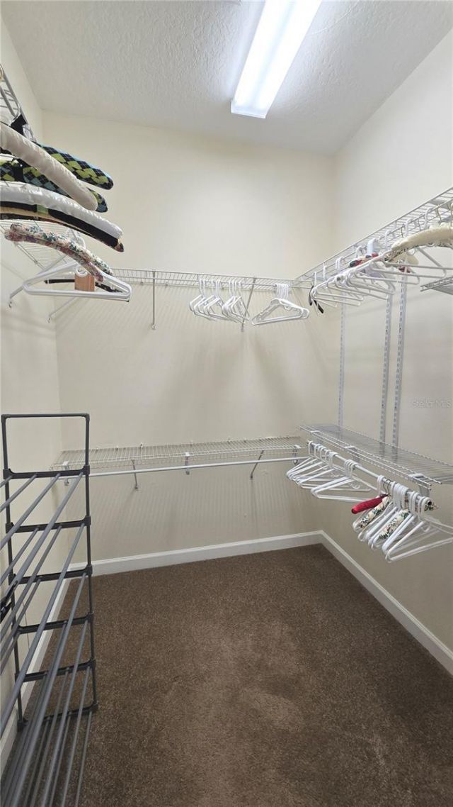 4307 Britt Road , Mount Dora, FL 32757 Photo