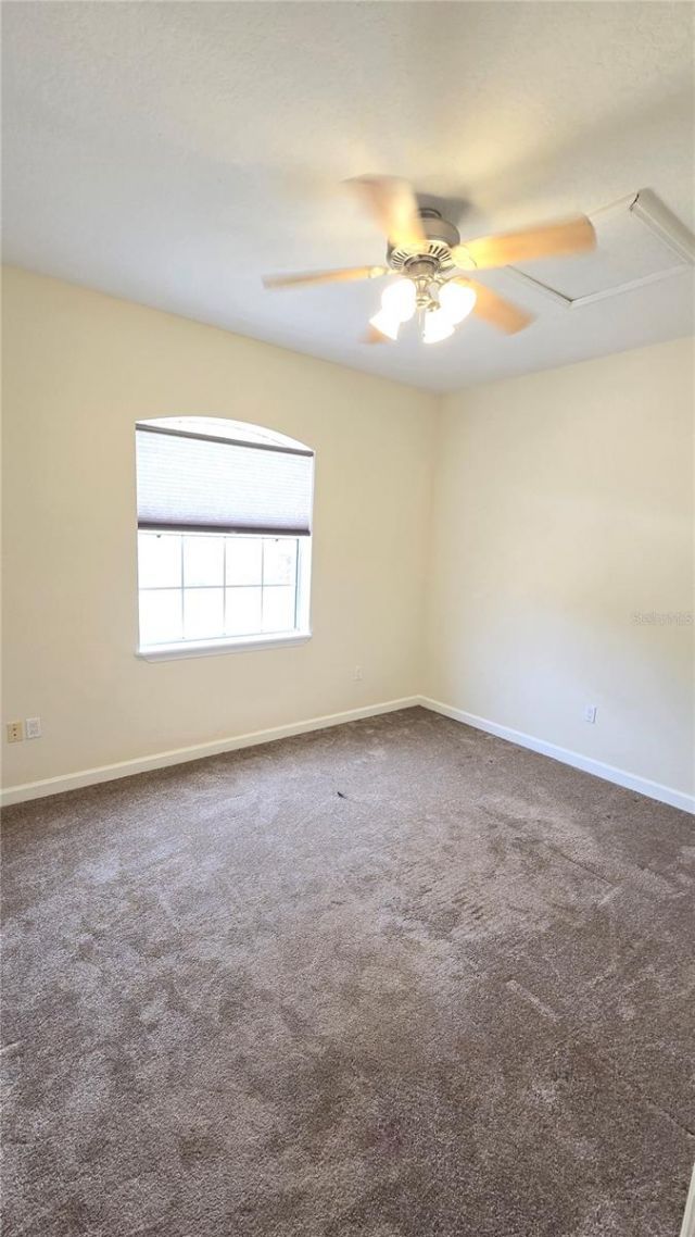 4307 Britt Road , Mount Dora, FL 32757 Photo