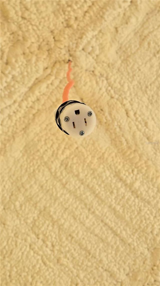 4307 Britt Road , Mount Dora, FL 32757 Photo