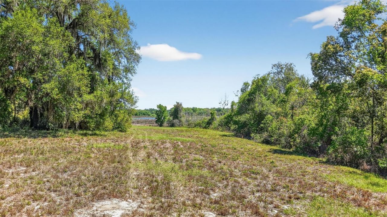 32510 Whitney Road, Leesburg, FL 34748 Photo
