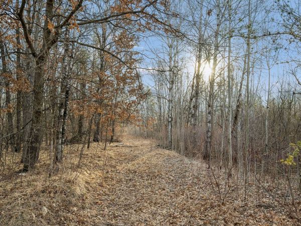 50828 Tradesman Road, Staples, MN 56479