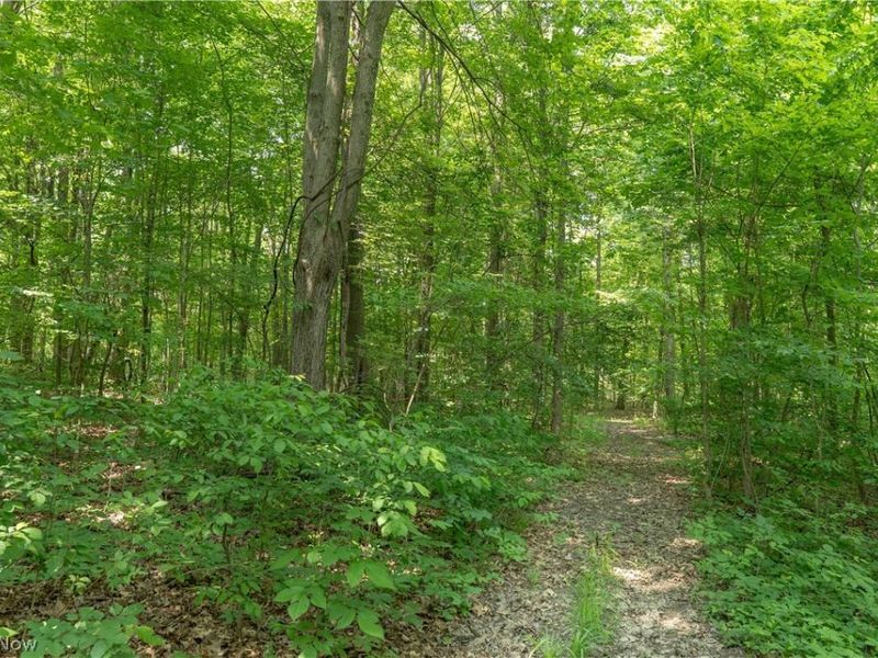 CR 500, Sullivan, OH 44880 Photo 3