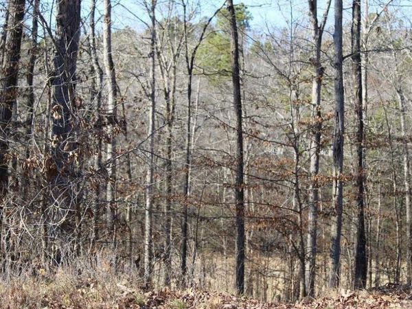 1672 Westchester, Hot Springs, AR 71913