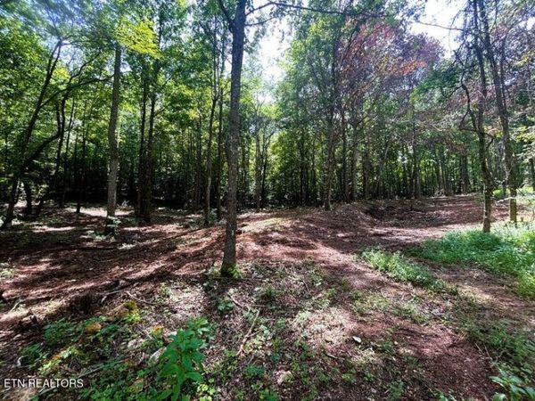 Tract 8 Pleasant Hill Rd, Ten Mile, TN 37880