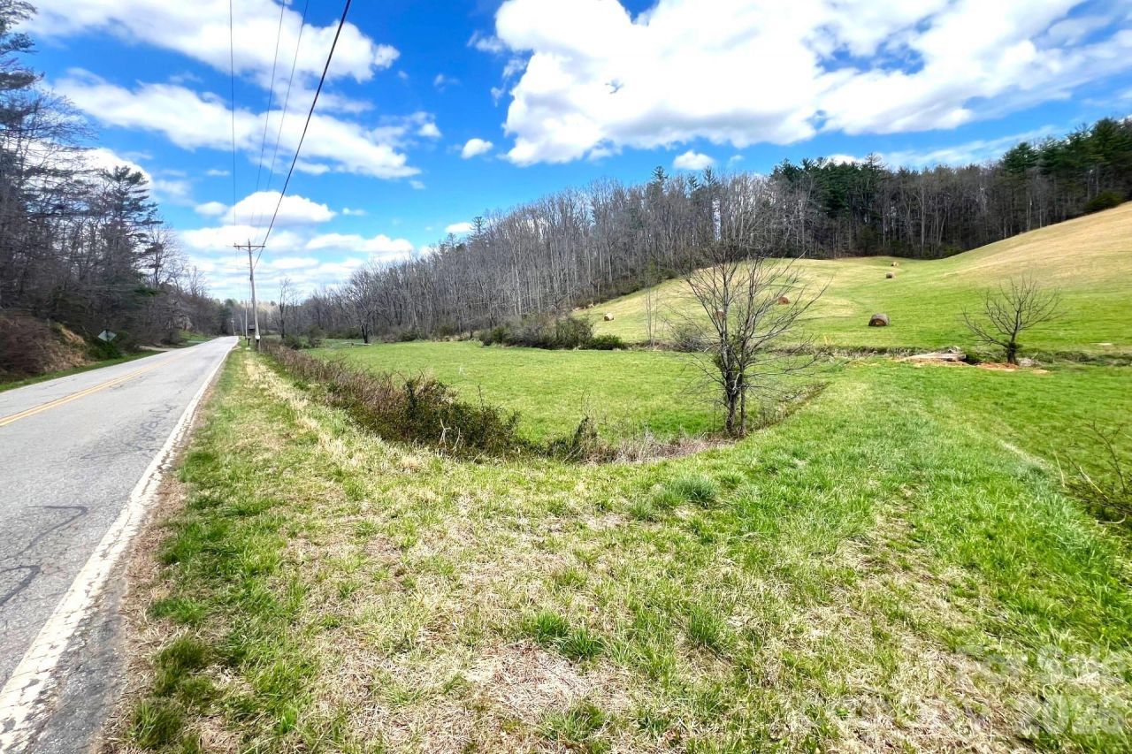 99999 Martin Branch Road, Leicester, NC 28748 Main Photo