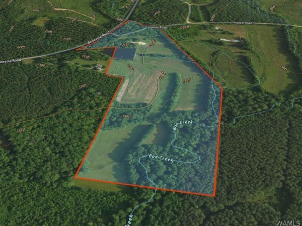 00 Benevola Road, Gordo, AL 35466