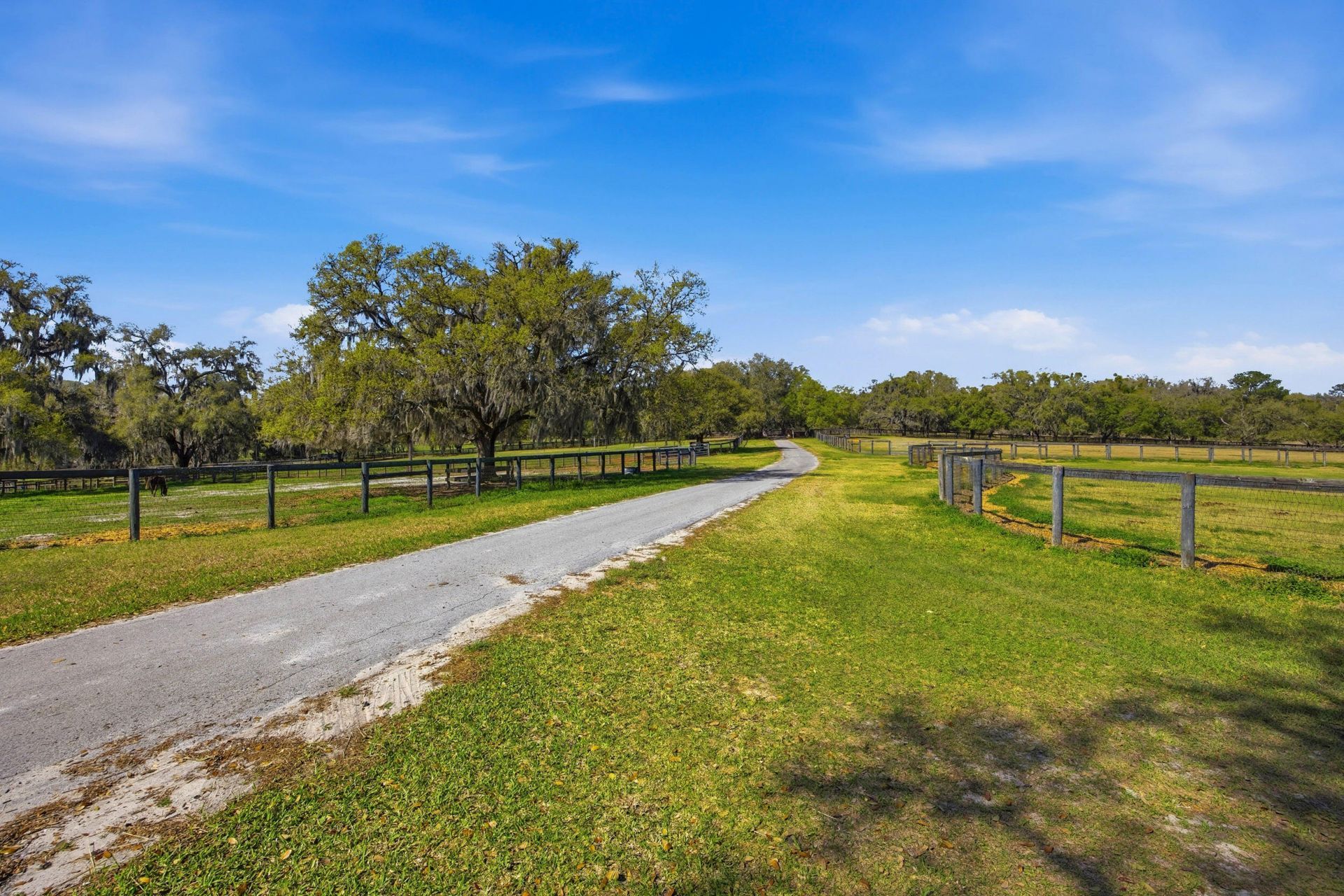 6025 NW 115th Avenue, Ocala, FL 34482 Photo