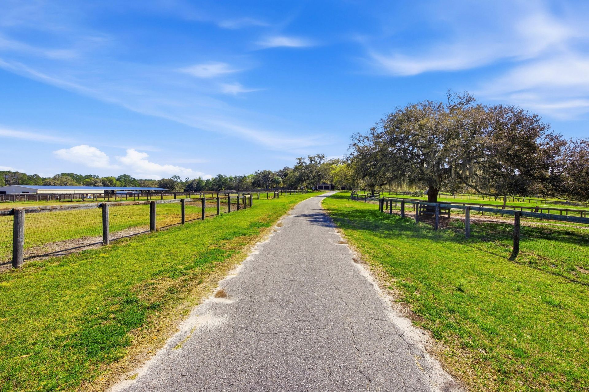 6025 NW 115th Avenue, Ocala, FL 34482 Photo