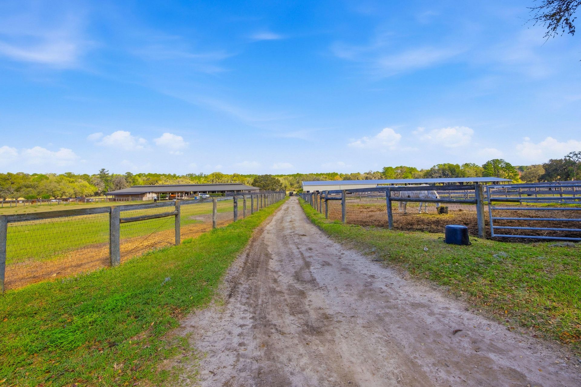 6025 NW 115th Avenue, Ocala, FL 34482 Photo