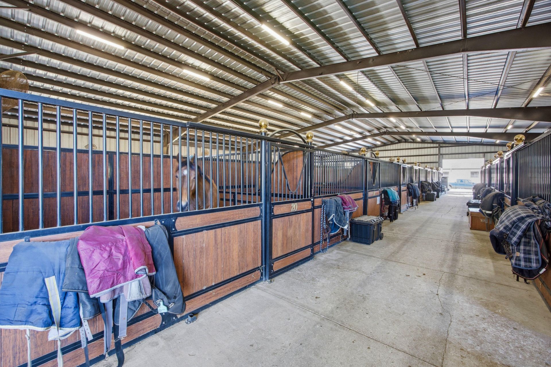 6025 NW 115th Avenue, Ocala, FL 34482 Photo