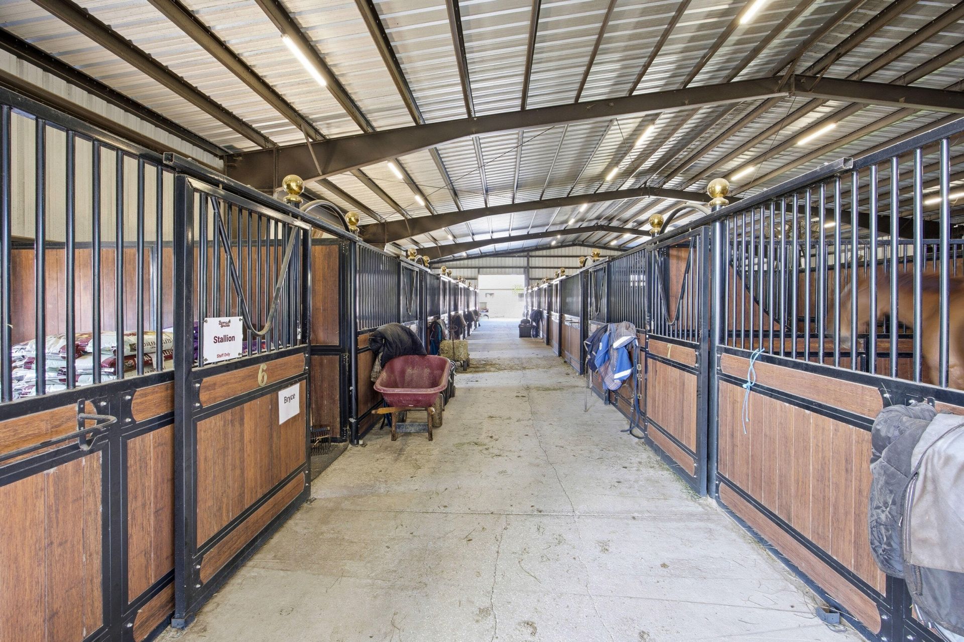 6025 NW 115th Avenue, Ocala, FL 34482 Photo