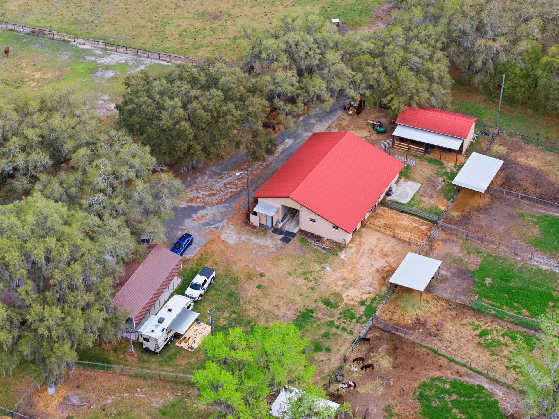 6025 NW 115th Avenue, Ocala, FL 34482 Photo