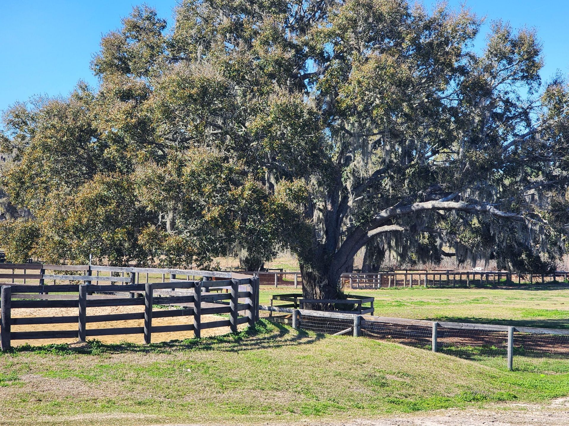 6025 NW 115th Avenue, Ocala, FL 34482 Photo