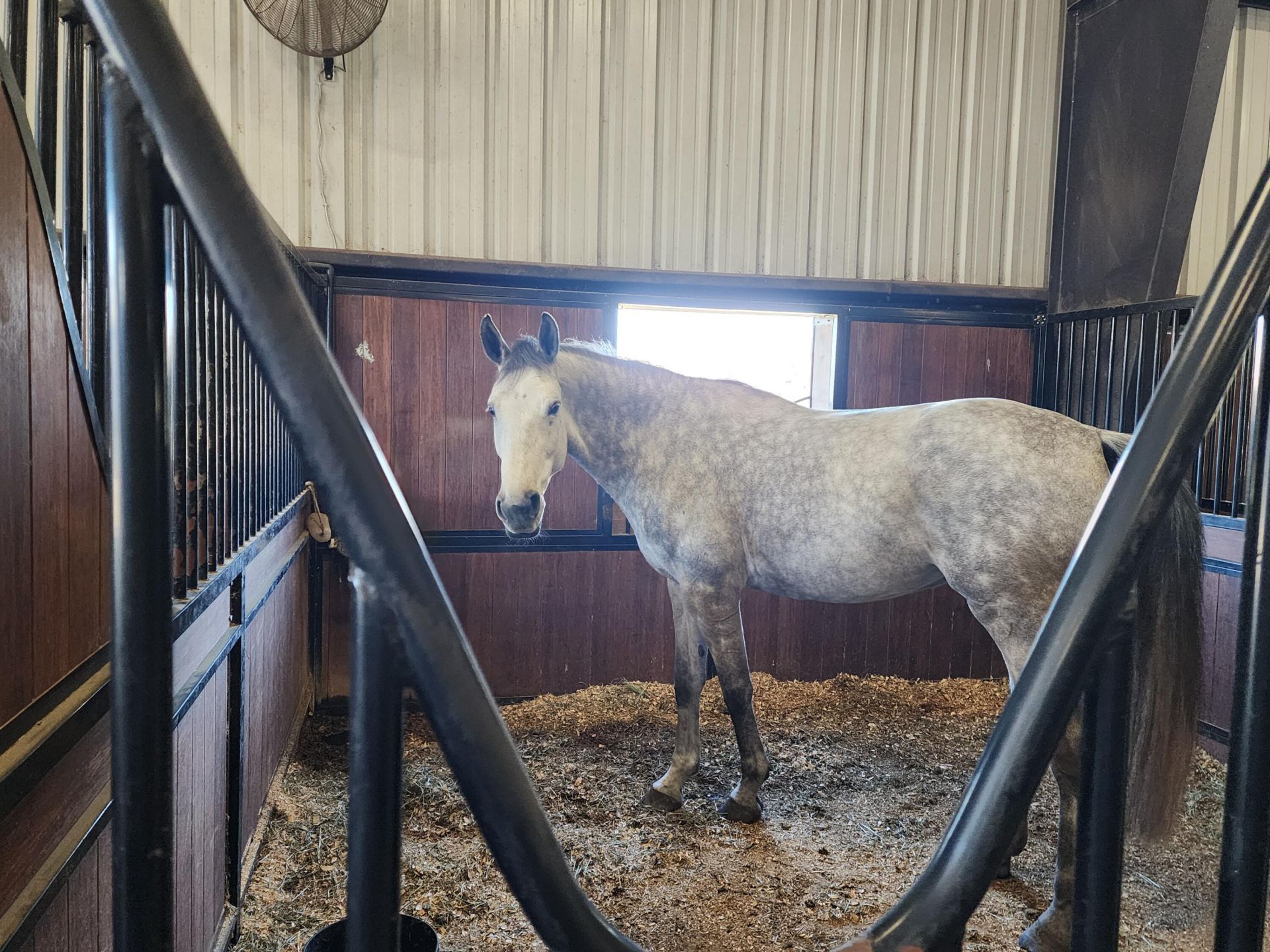 6025 NW 115th Avenue, Ocala, FL 34482 Photo