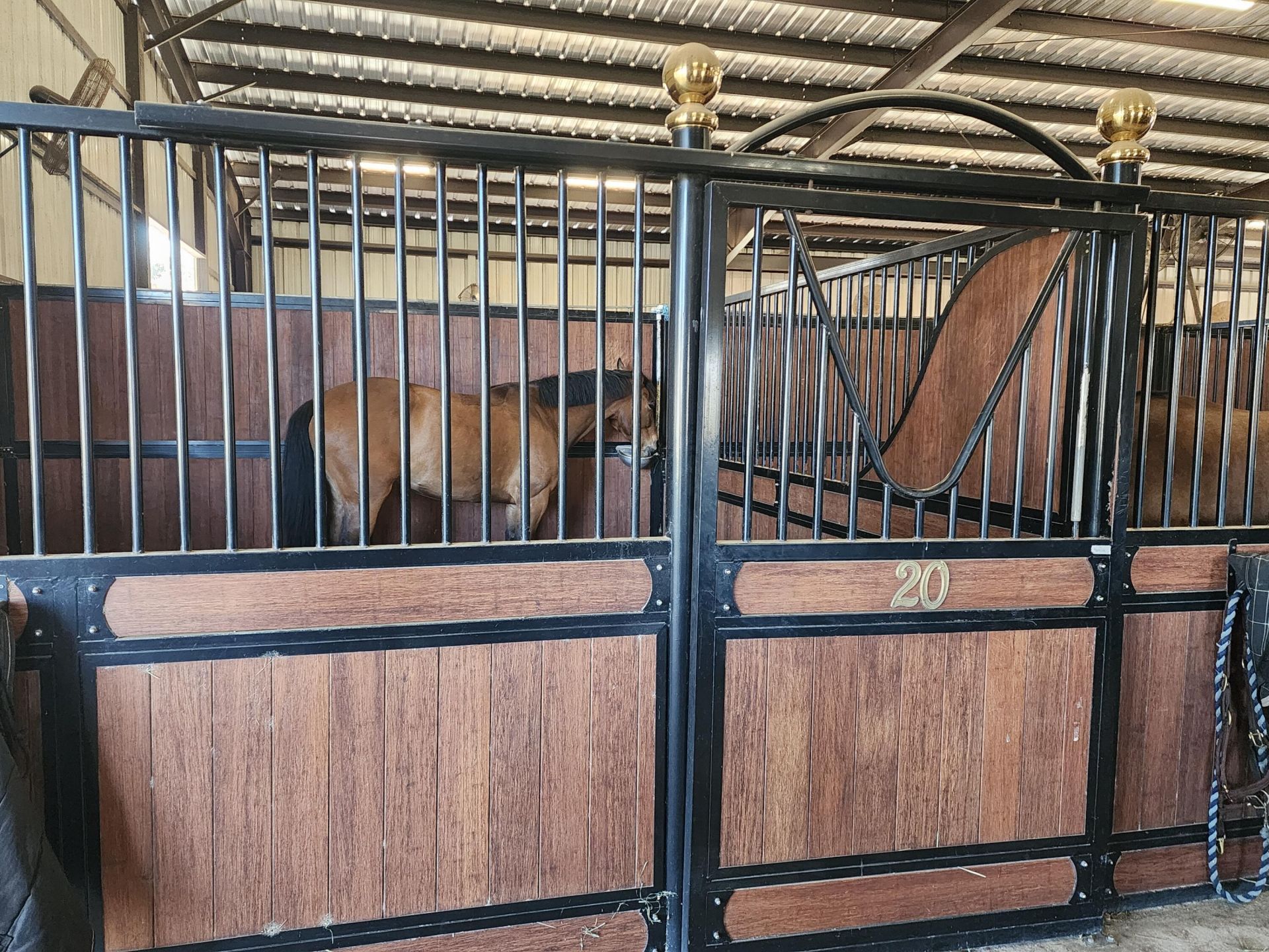 6025 NW 115th Avenue, Ocala, FL 34482 Photo