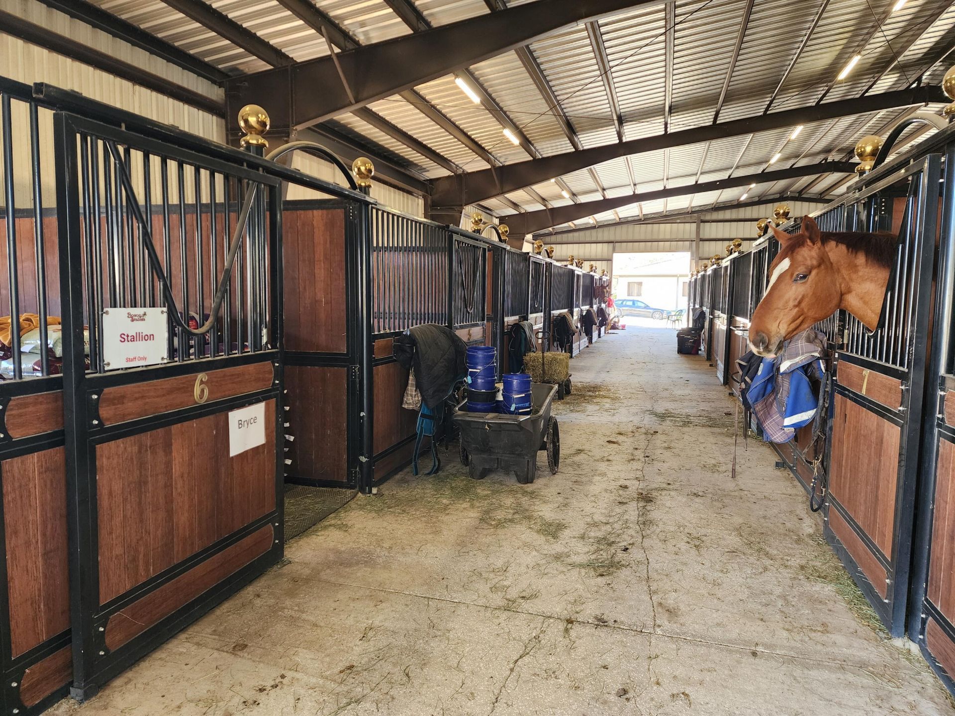 6025 NW 115th Avenue, Ocala, FL 34482 Photo